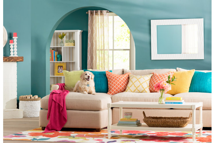 Everything You Need to Know About Sofa Types Wayfair